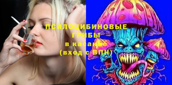 дмт Надым