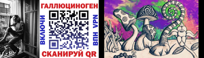 Галлюциногенные грибы Psilocybe  Никольское 